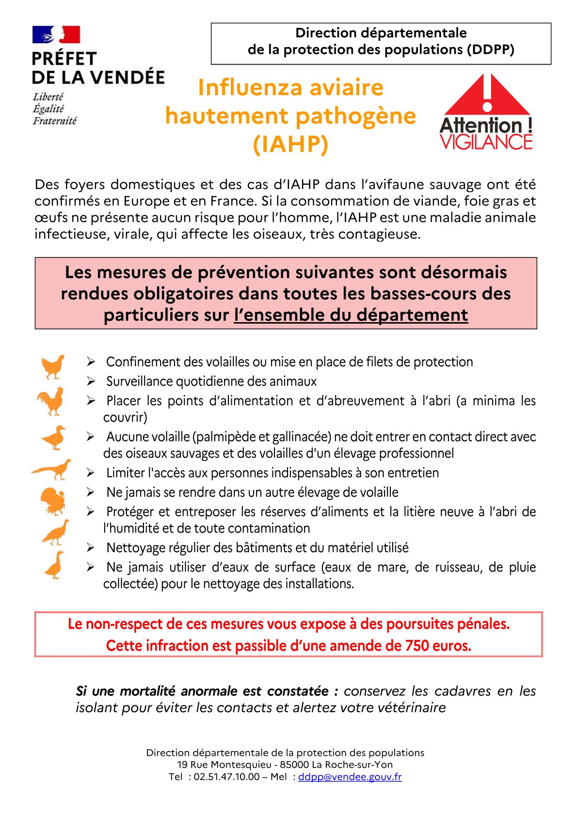 Affiche basses-cours