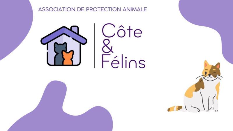 Logo Côte&Félins