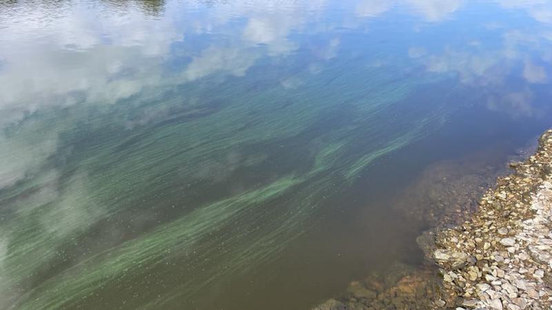Eau verte